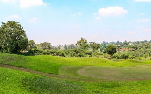 1/8 Acre Plot For Sale in Kiambu at Olearia Migaa Golf, Kiambu