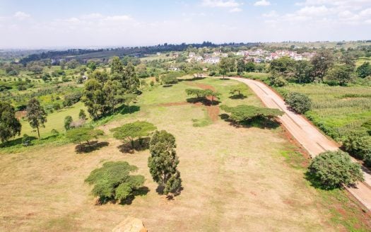 1/8 Acre Plot For Sale in Kiambu at Olearia Migaa Golf, Kiambu