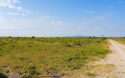 0.125 Acres For Sale in Machakos (18km off Mombasa Road Highway)