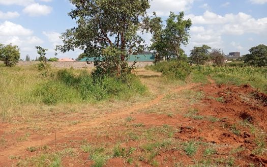 1/8 an Acre For Sale in Ruiru, Kiambu County Along the Ruiru-Githunguri Road