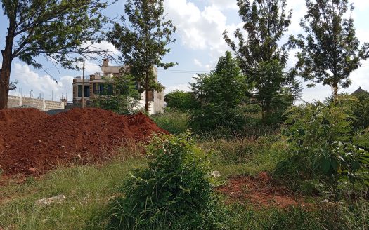1/4 an acre plot for sale in Ruiru, Kiambu