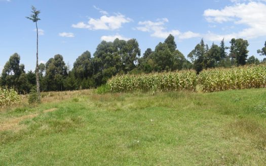 9.25 Acres For Sale in Nyeri near Mt Kenya