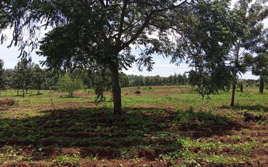 0.5 Acres For Sale next to Tatu City, off Kamiti Road