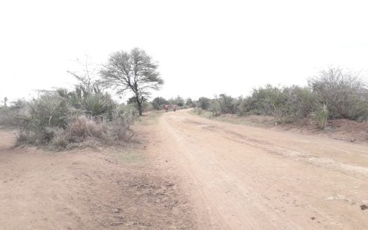 119.596 Acres For Sale in Kwale in the Kidomaya Area