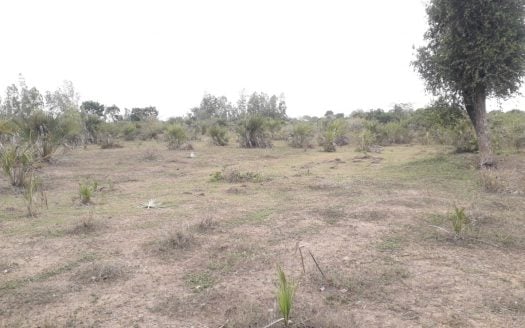 119.596 Acres For Sale in Kwale in the Kidomaya Area