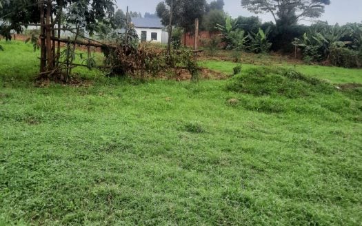 Prime Half-Acre Plot For Sale in Riara Ridge with Nearly Completed 4-Bedroom House