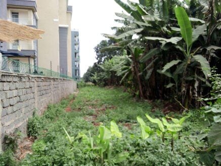 Prime Land for Sale in Ruaka – 2 Parcels (100×100 Each)