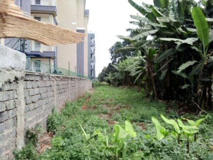 Prime Land for Sale in Ruaka – 2 Parcels (100×100 Each)