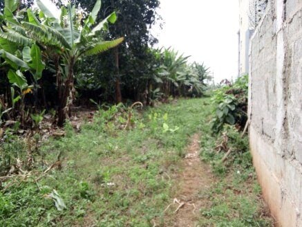 Prime Land for Sale in Ruaka – 2 Parcels (100×100 Each)