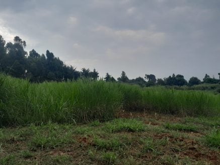 Exclusive 2-Acre Land for Sale in Lower Kabete