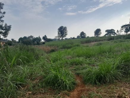 Exclusive 2-Acre Land for Sale in Lower Kabete