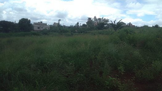Prime 1/8 Acre Plots for Sale in Mugutha, Ruiru – Touching Tarmac | KSh 4M