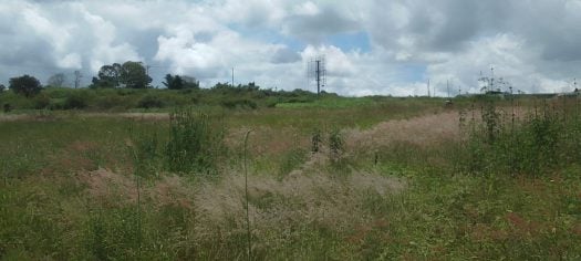 Prime 7.5-Acre Land for Sale in Mugutha, Ruiru – Tarmac Frontage & River Boundary | KSh 30M per Acre