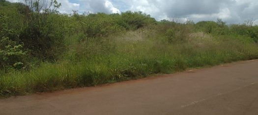 Prime 2-Acre Land for Sale in Mugutha, Ruiru | KSh 30M per Acre