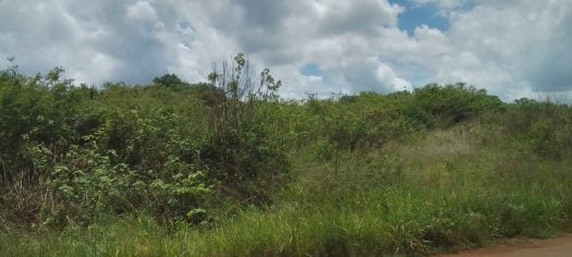Prime 2-Acre Land for Sale in Mugutha, Ruiru | KSh 30M per Acre