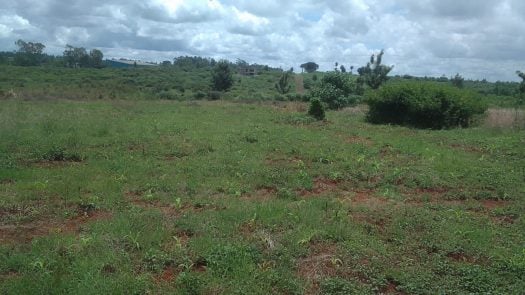 Prime 12.5-Acre Land for Sale in Mugutha, Ruiru | KSh 30M per Acre