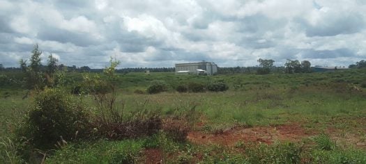 Prime 12.5-Acre Land for Sale in Mugutha, Ruiru | KSh 30M per Acre